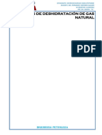 Métodos de Deshidratación de Gas Natural