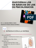 Procesos Psicológicos Básicos