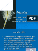 Presentacionartemiastrabajofinalintd 110527111806 Phpapp02