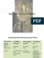 Psilophyta To Sphenophyta