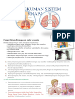 Rangkuman Biologi Kelas Xi Pernapasan