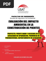 Estudio de Impacto Ambiental Puentes PDF