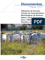 Utilizacao de Escores Visuais de Caracteristicas Morfologicas de Bovinos Nelore Como Ferramenta para o Melhoramento Genetico Animal PDF