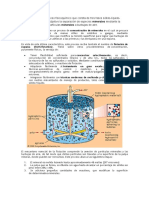 Celdas de Flotacion