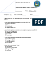 Prueba de Ciencias Naturales Tercer Año Basico - La Luz
