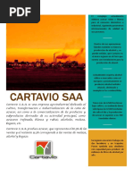 Informe Cartavio Saa