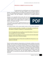 Problemas Ambientales en El Peru