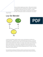 Leyes de Mendel Estructura Adn