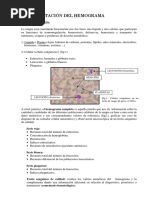 Clases 3 - Interpretacion-Del-Hemograma PDF