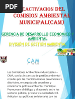 Comision Ambiental Municipal (Cam) - Yungay.