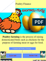 Poultry-Basics 123 Slides