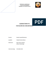 Informe N1 Laboratorio Pirometalurgia