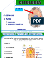 Citoplasma Organelas