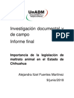 Informe Final 2