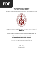 NUMERACIÓN E IDENTIFICACIÓN DE MOHOS Y LEVADURAS EN UNA MUESTRA AMBIENTAL - Microbiologia Ambiental UNI