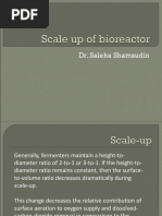 Bioreactor Scale-Up