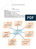 Proiect de Activitate Integrată