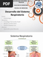 Desarrollo Del Sistema Respiratorio