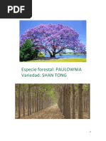 Cualidades de Paulownia