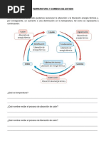 Representación de La Curva de Calentamiento Del Agua