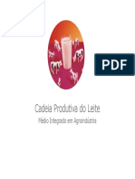 Cadeia Produtiva