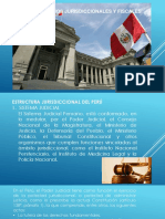 Organos Jurisdiccionales