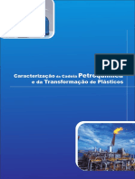 Caracterização Da Cadeia Petroquímica e de Transformação de Plásticos PDF