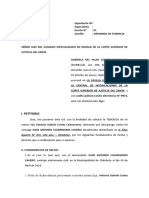 01 - Modelo Escrito de Tenencia 1