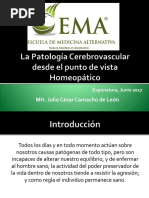 La Patología Cerebrovascular Desde El Punto de Vista Homeopático