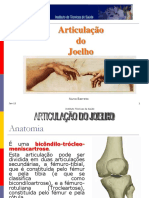 14 Joelho PDF