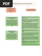 Aparato Digestivo Cuadro