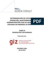 Estudio Costos Fijos OMA-BIOMASA-Informe Final 06032018