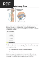 Líquido Cefalorraquídeo