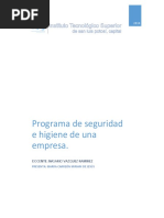 Programa de Seguridad e Higiene