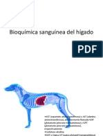 Bioquímica Sanguínea Del Hígado