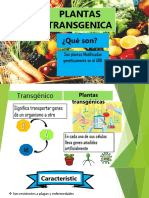 PLANTAS-TRANSGENICAS (Autoguardado) (Autoguardado)