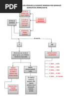 Flujograma de Atencion Al Paciente Mordido Por Animales Domesticos