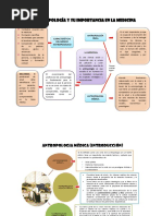 La Antropología Y Su Importancia en La Medicina: Campos Antropo Lógicos