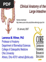 Clinical Anatomy of The Large Intestine