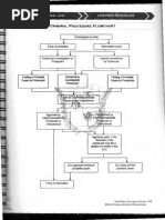 Criminal Procedure Flow Chart