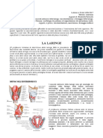 20 - Anatomia II - 16.03.2017 - R