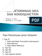 Tugas Genetika (Pola Determinasi Seks Dan Nondisjunction)