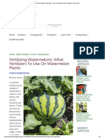 Watermelon Fertilizer Schedule - Tips For Watermelon Feeding in The Garden