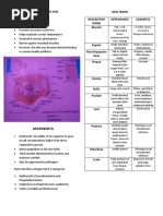 Functions of The Skin