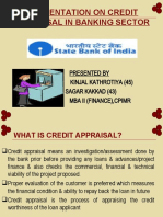 Presentation On Credit Appraisal in Banking Sector