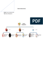 Mapa Conceptual de Fármacos Hematopoyéticos