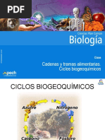 Ciclos Biogeoquimicos y Cadenas