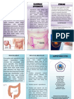 Leaflet Appendisitis