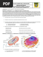 Evaluación 1-La Célula Sexto