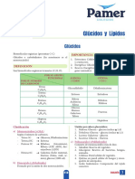 B - 5ºaño - S3 - Glucidos y Lipidos PDF